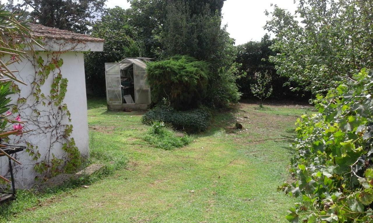Poderi Di Tragliatella Bagian luar foto