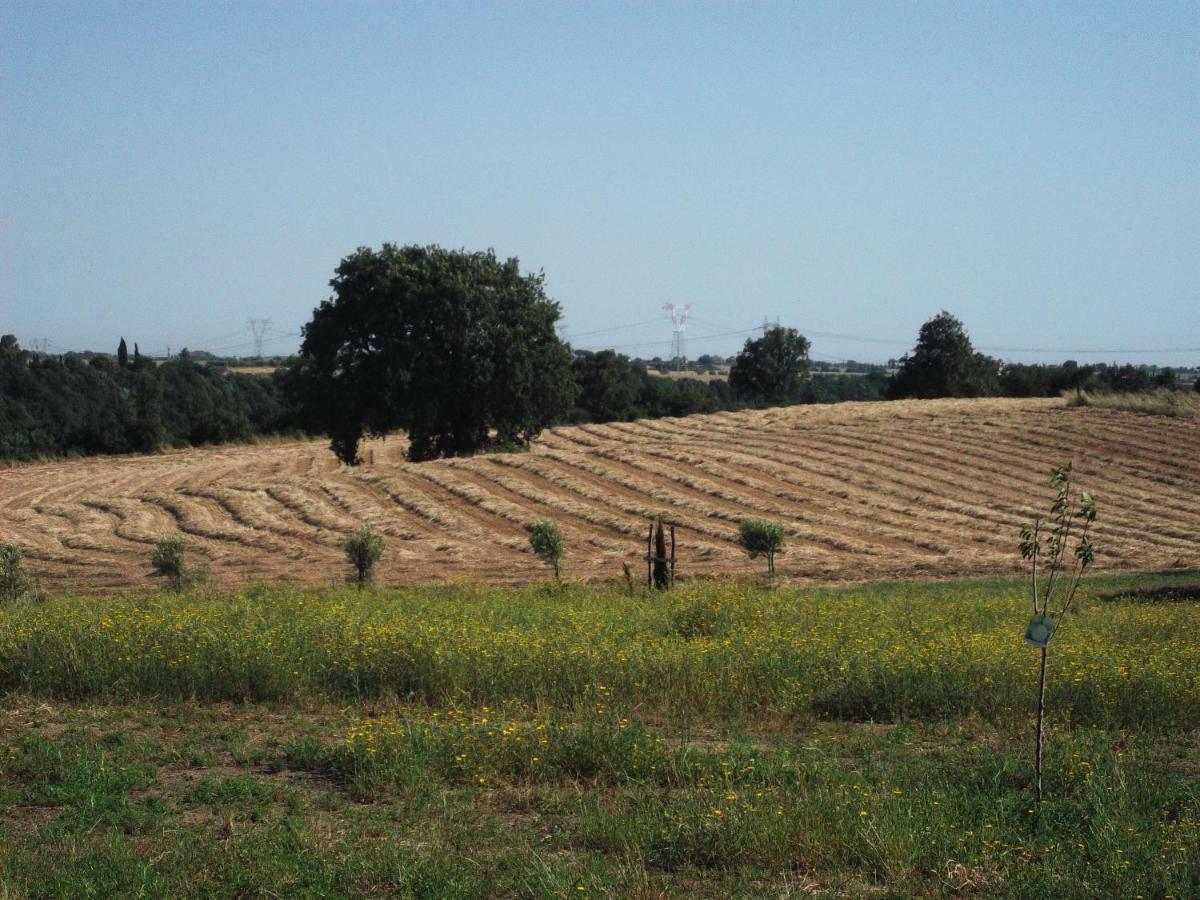 Poderi Di Tragliatella Bagian luar foto