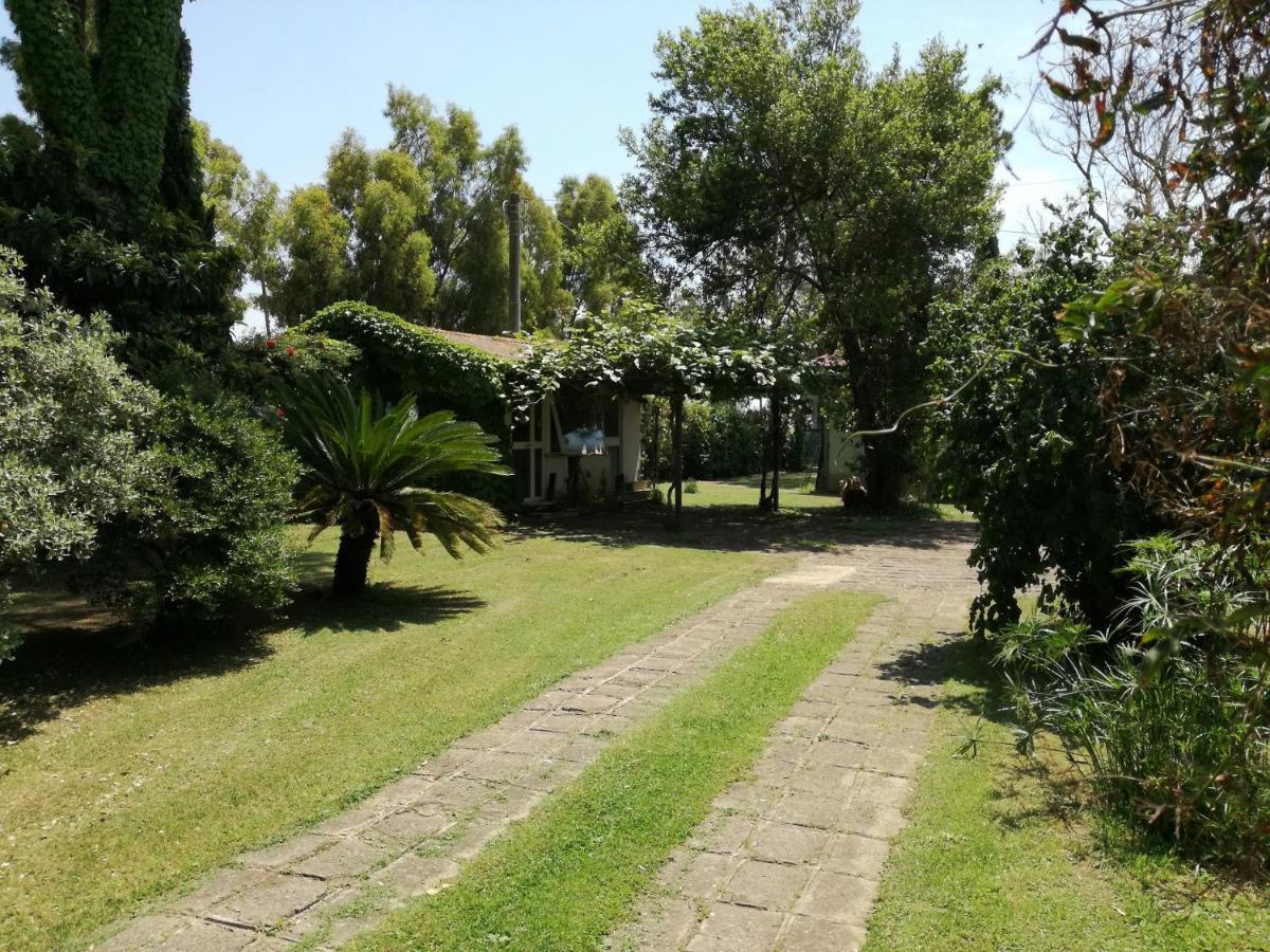 Poderi Di Tragliatella Bagian luar foto